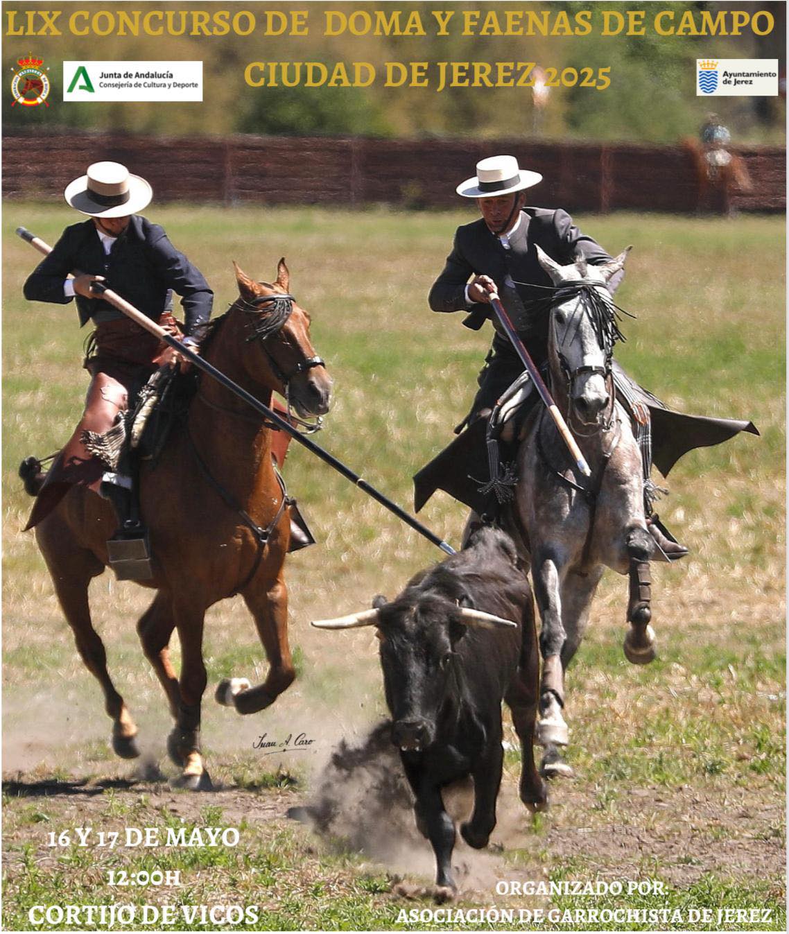 Cartel