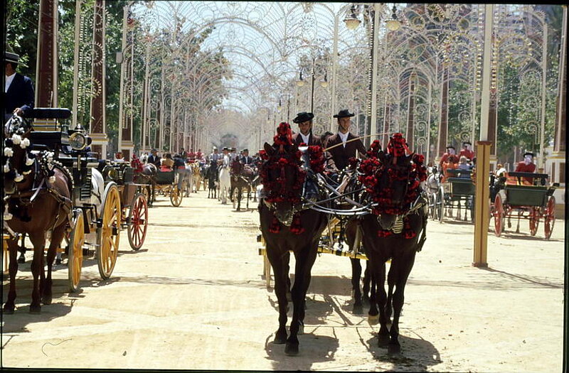 Paseo de Caballos