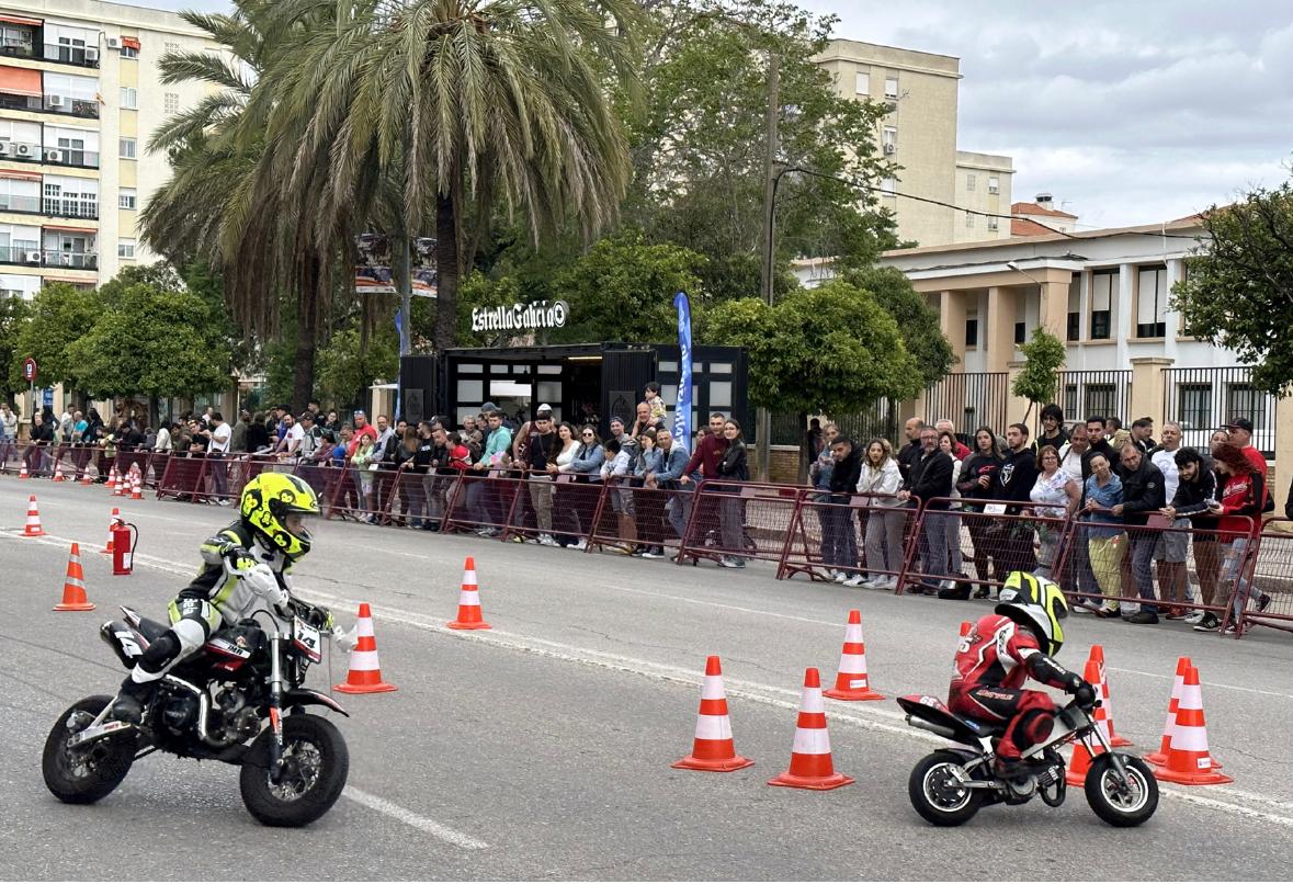 Zona Avenida Álvaro Domecq