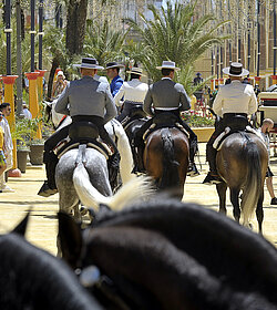 paseo caballistas