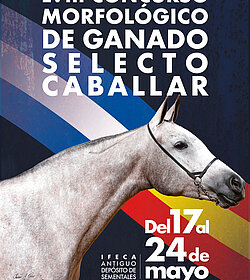 cartel