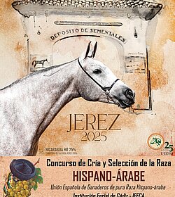 Cartel