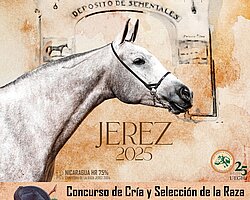 Cartel