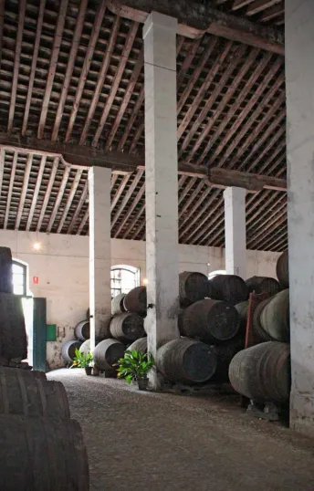 Bodegas Faustino González
