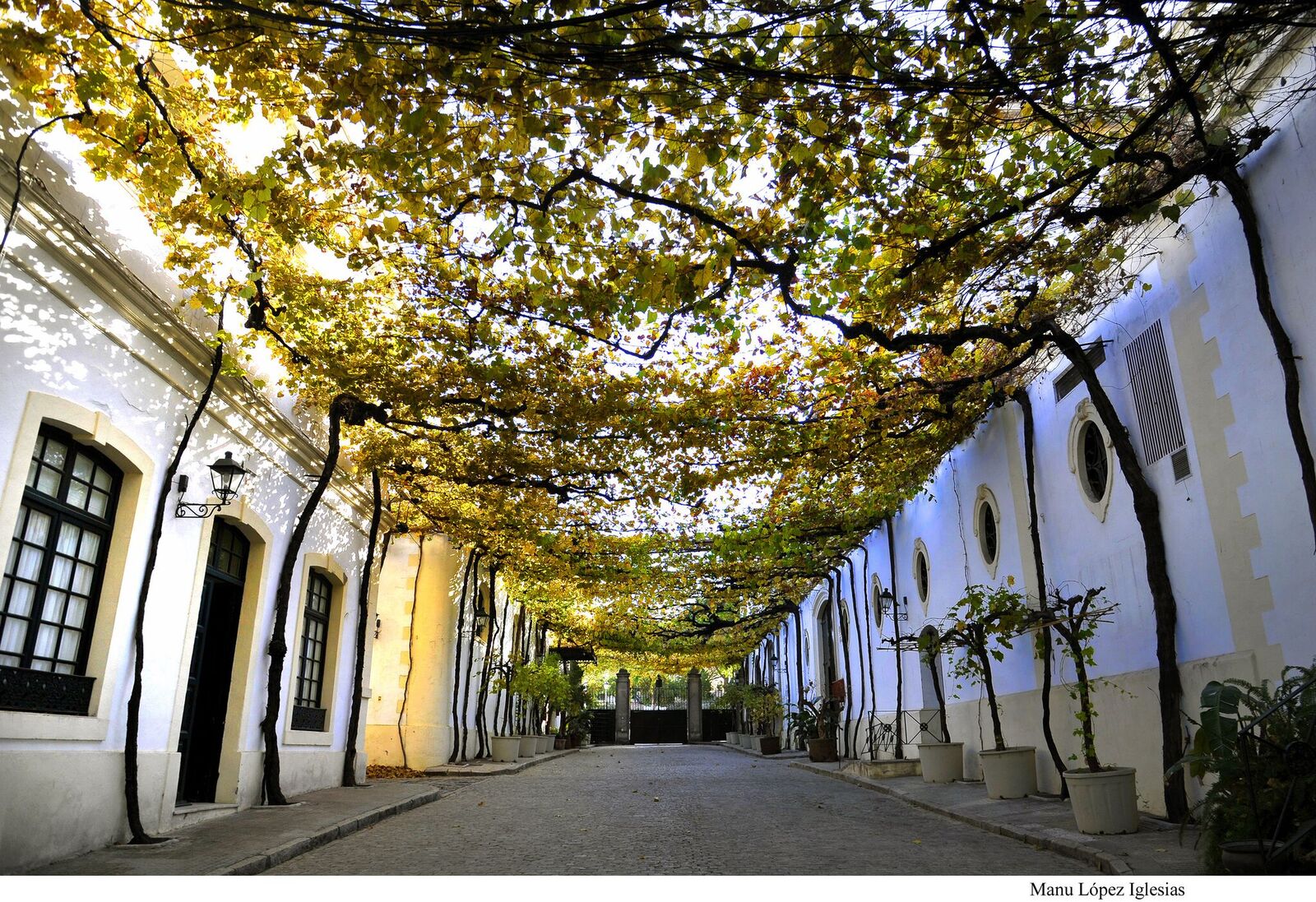 Bodegas Tío Pepe