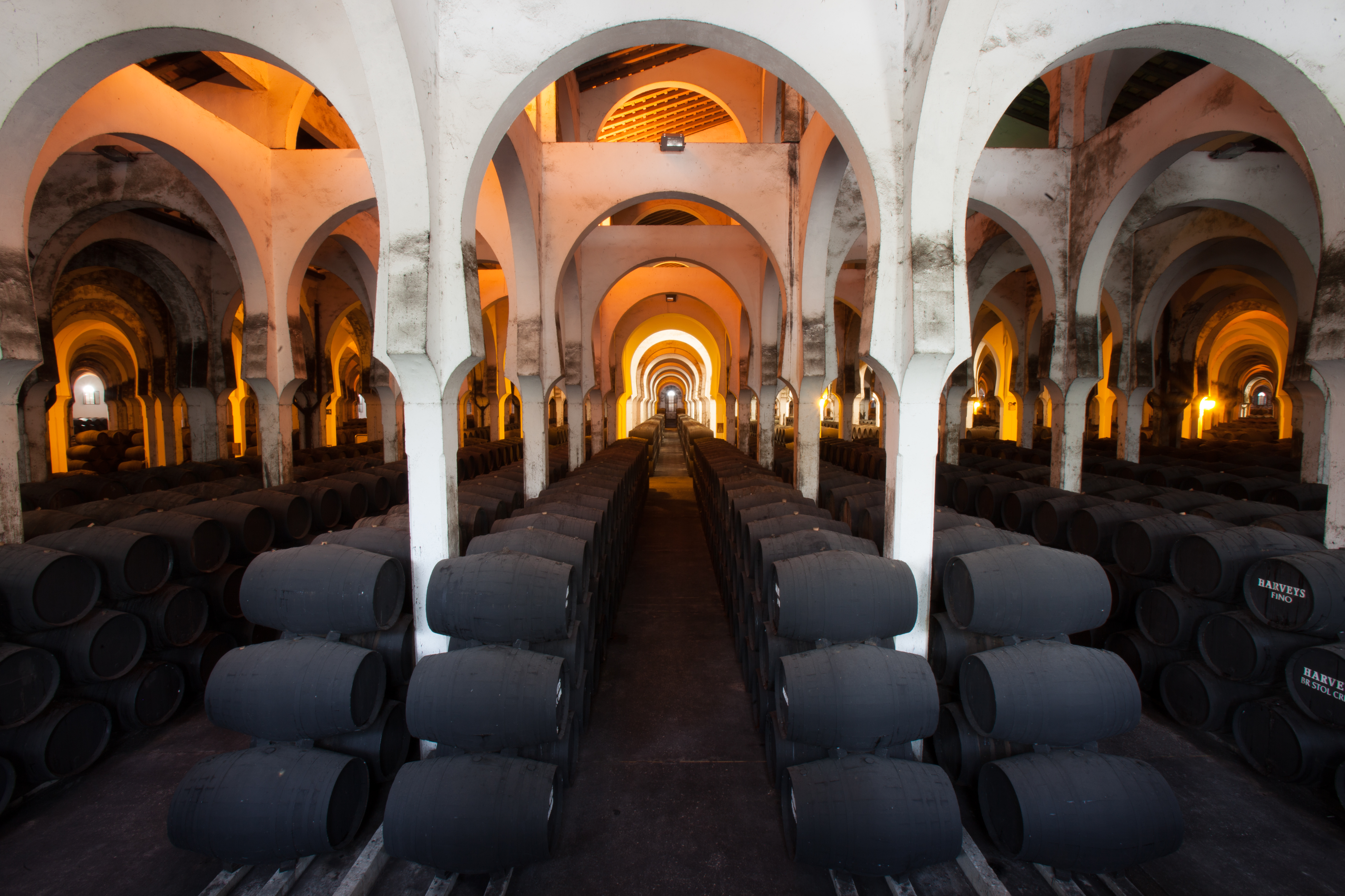 Bodegas Fundador