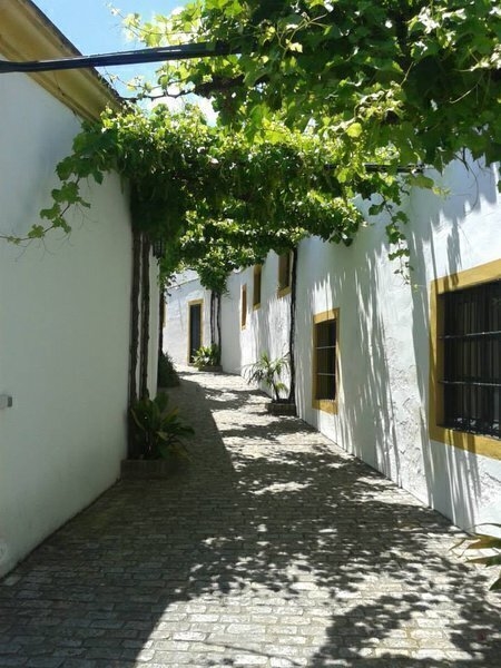 Bodega Rey Fernando de Castilla