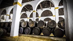 Bodegas Gago & Co. Barrels Wines