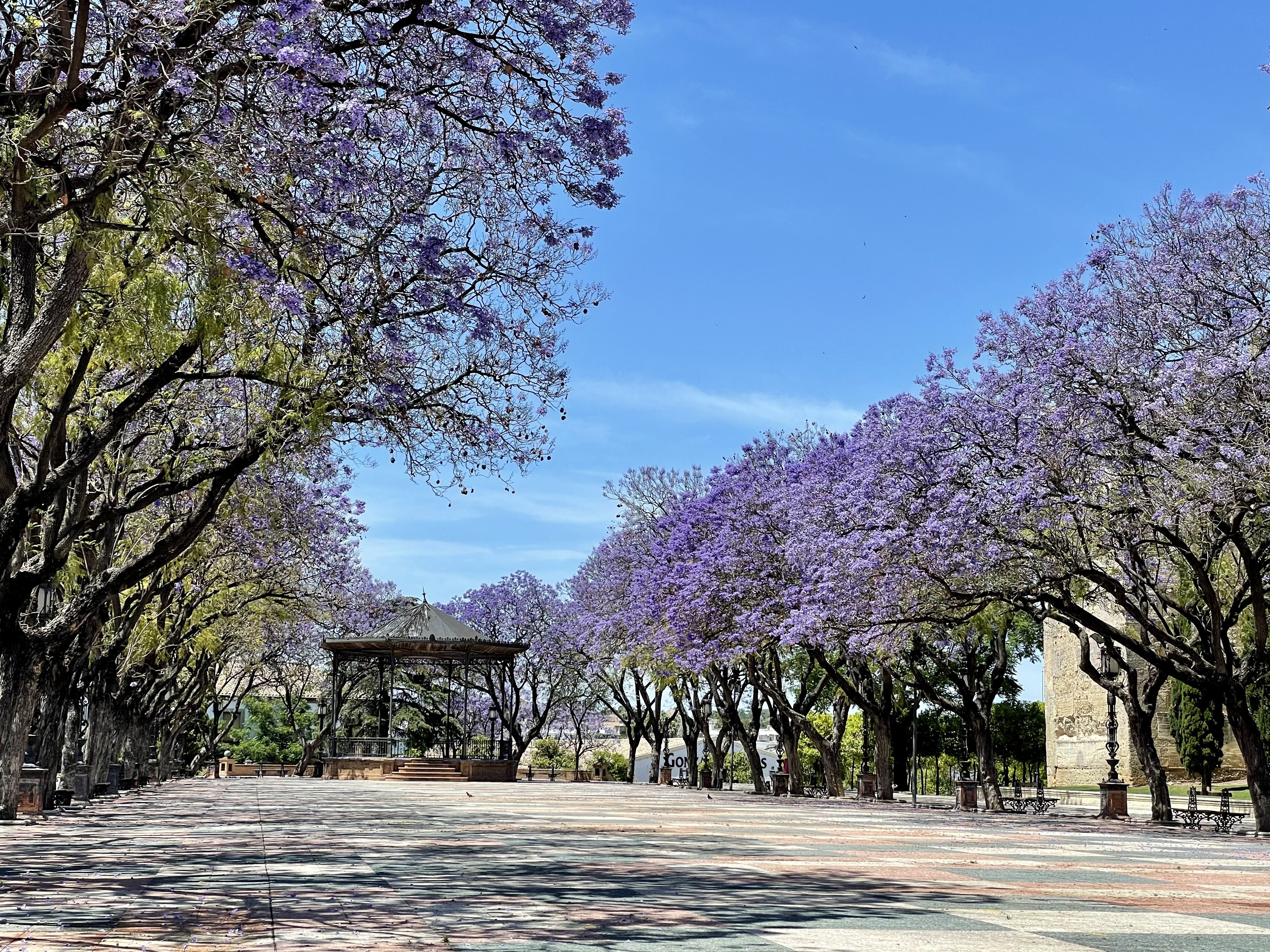 Foto Alameda Vieja