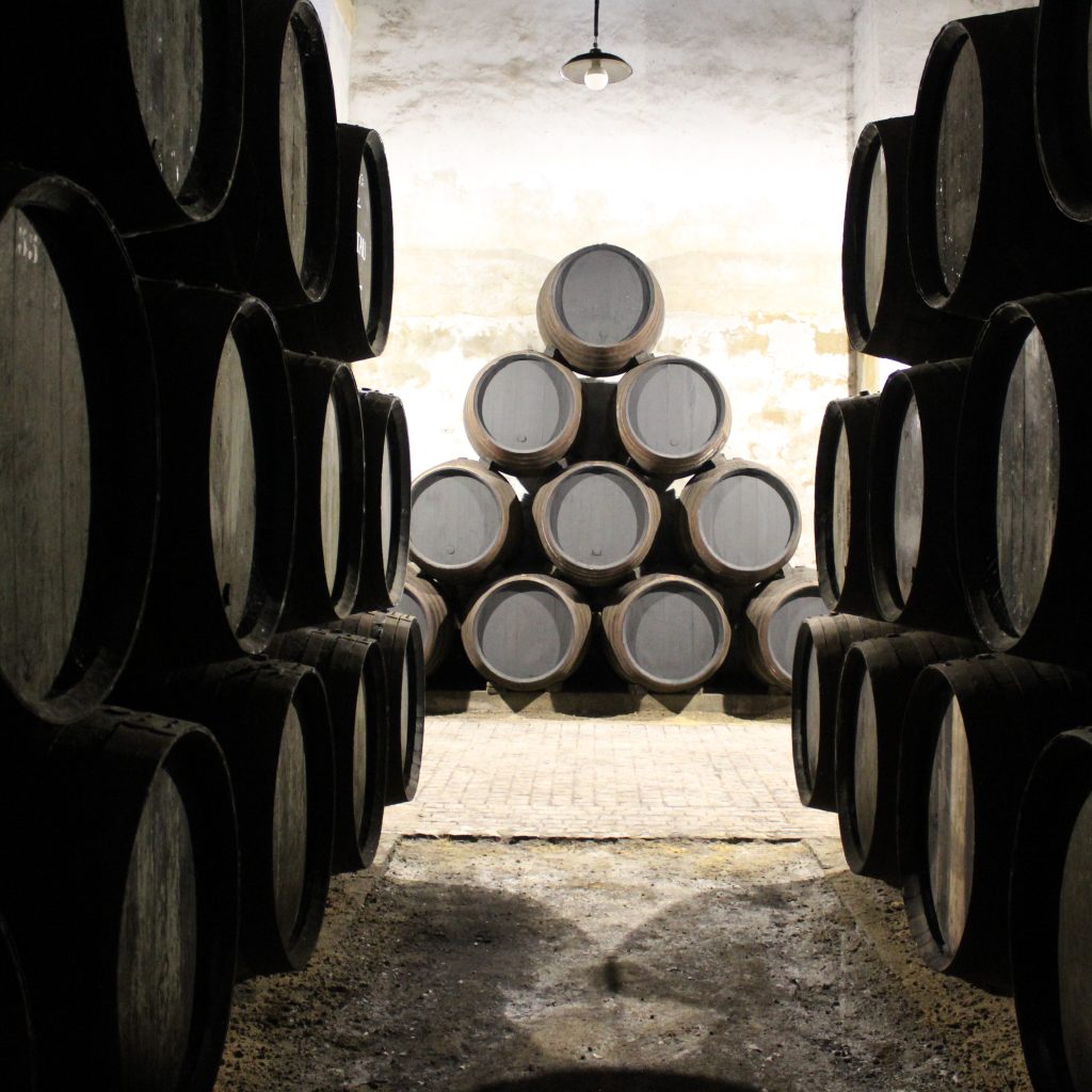 Bodegas Cayetano del Pino