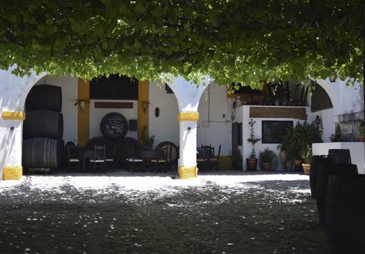 Vista bodega