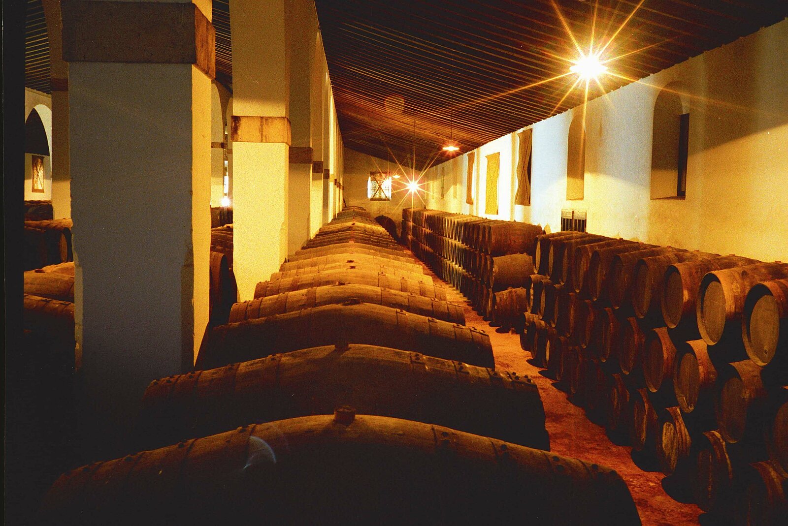 Bodega interior