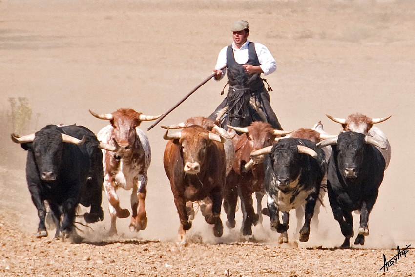 [Translate to Español:] A campo abierto