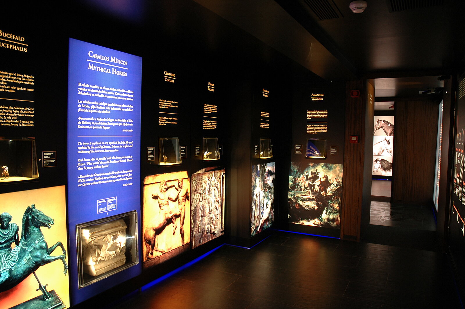 [Translate to English:] Museo Arte Ecuestre