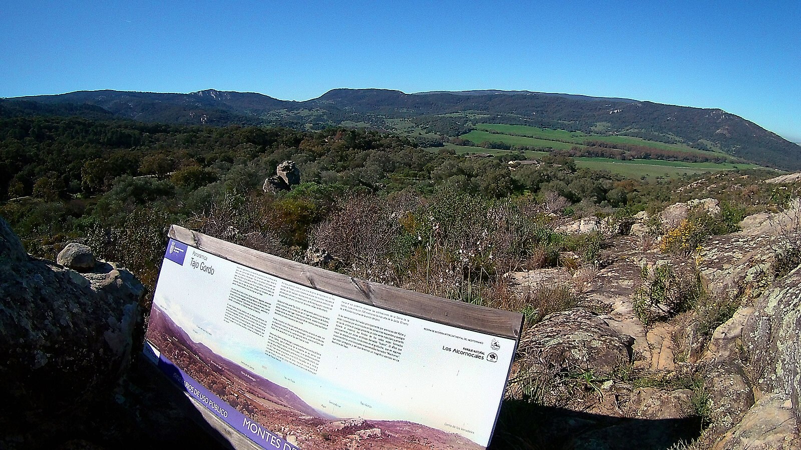 [Translate to Español:] Montes de Propios