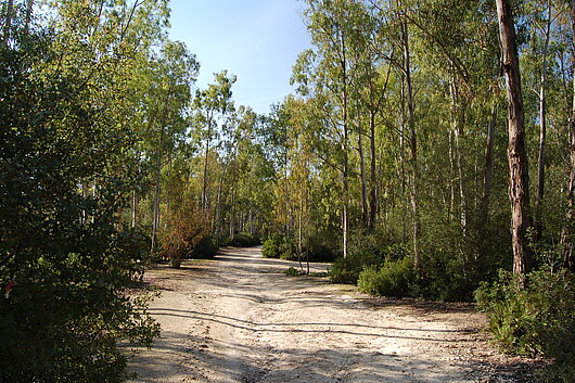 Parque Forestal de Las Aguilillas