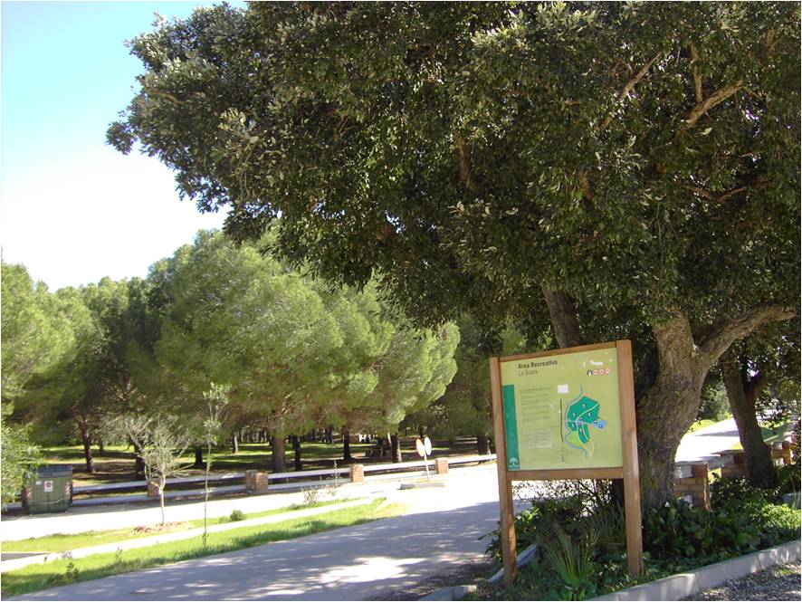 Parque Forestal de La Suara