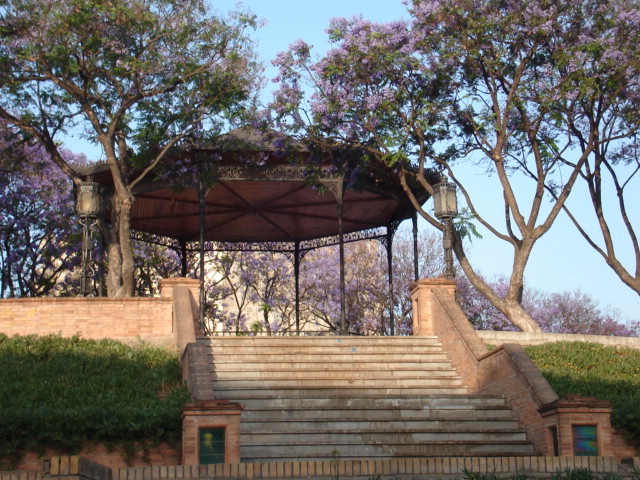 Alameda Vieja