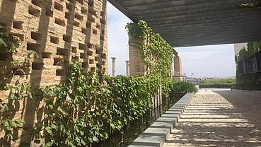 Bodegas Miguel Domecq