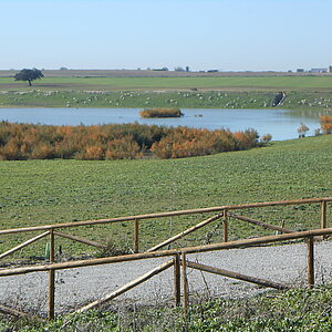 laguna los tollos