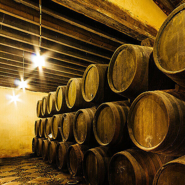 [Translate to Español:] Bodega Balbaina
