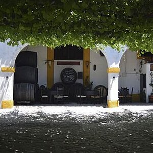 Vista bodega