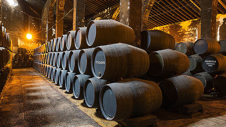 Bodegas Fundador