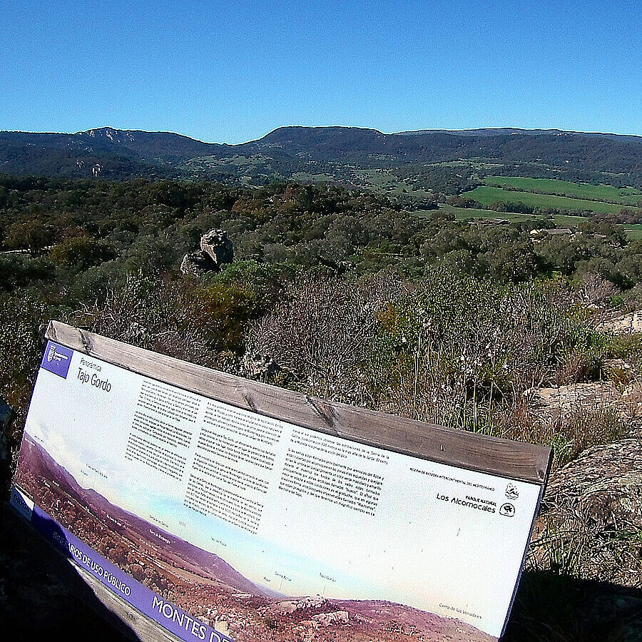 [Translate to Español:] Montes de Propios
