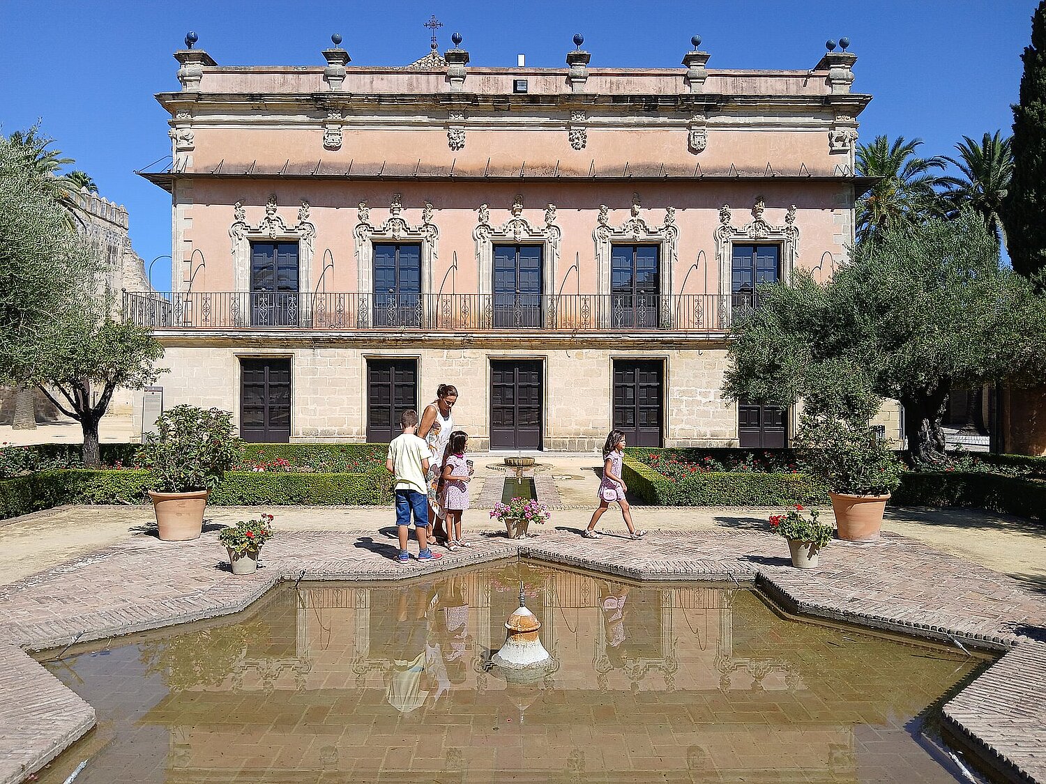 Estrella del jardín