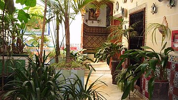 Patio pensión
