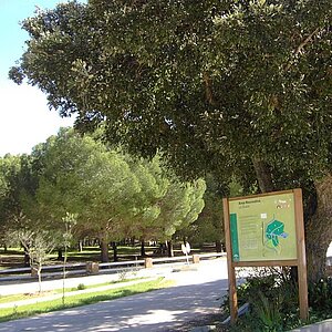 Parque Forestal de La Suara