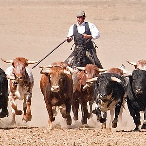 A campo abierto