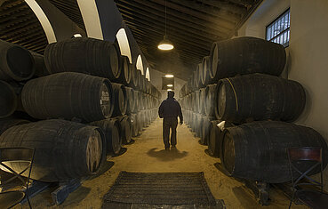 Bodegas León Domecq