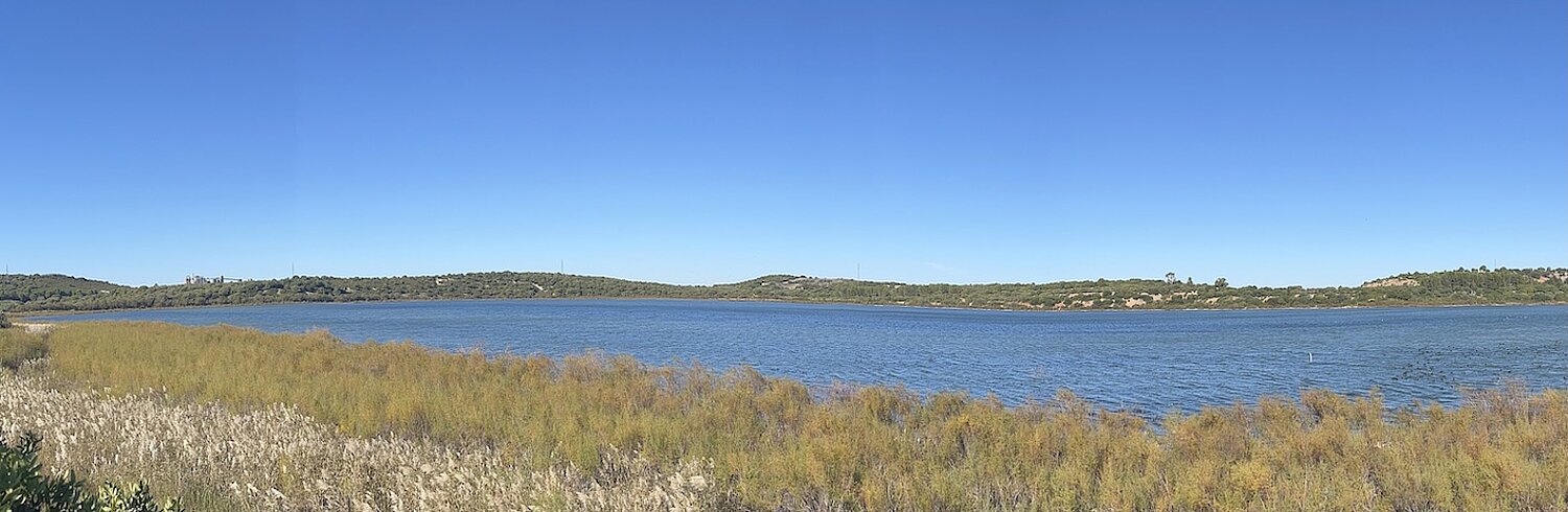laguna