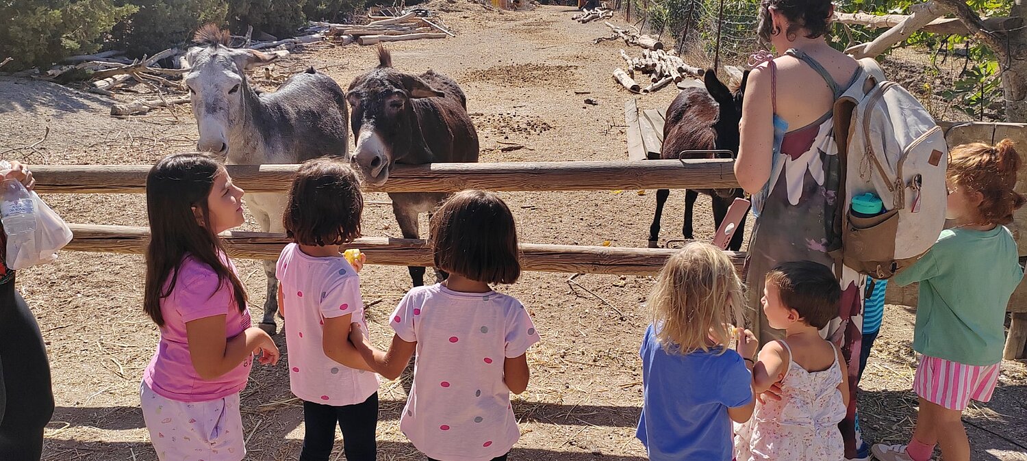 Niños mirando los burros