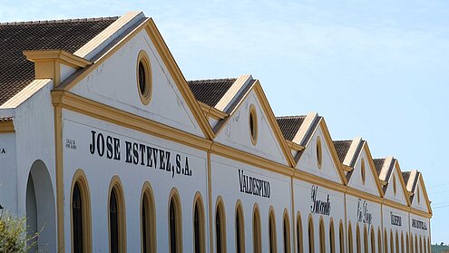 Bodegas Real Tesoro y Valdespino