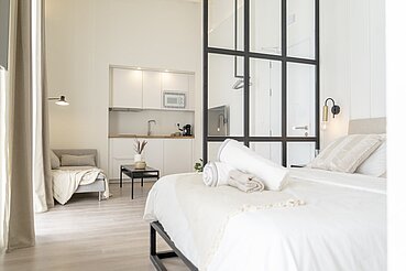 Apartamentos Alfonso X Suites