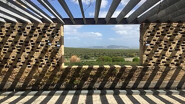 Bodegas Miguel Domecq