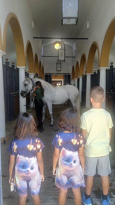 preparando el caballo en la cuadra