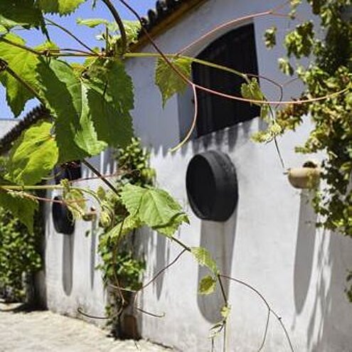Calle de la bodega