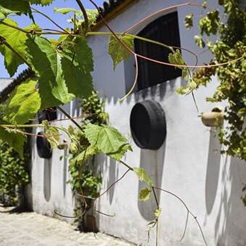 Calle de la bodega