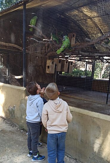 Niños mirando loros