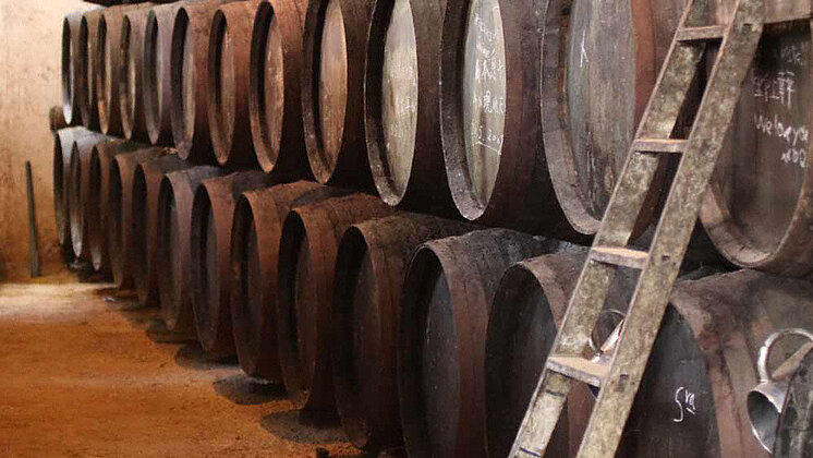 Bodegas Faustino Gonzalez