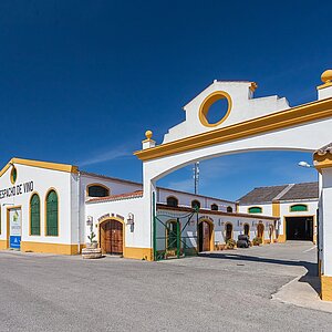CoviJerez