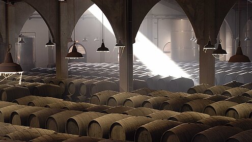 Bodegas Real Tesoro y Valdespino