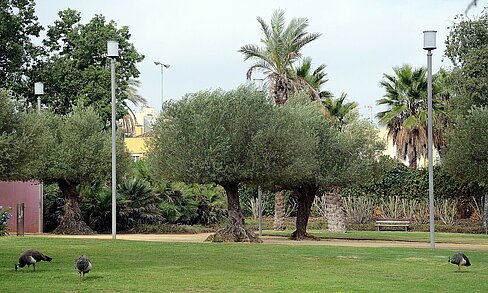 parques urbanos
