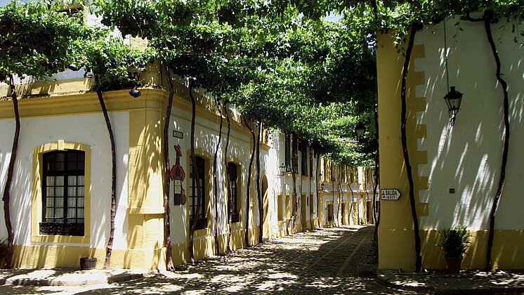 Bodegas Tio Pepe