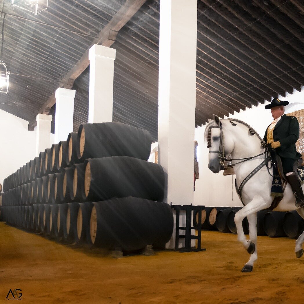 [Translate to English:] Bodegas Álvaro Domecq Jerez