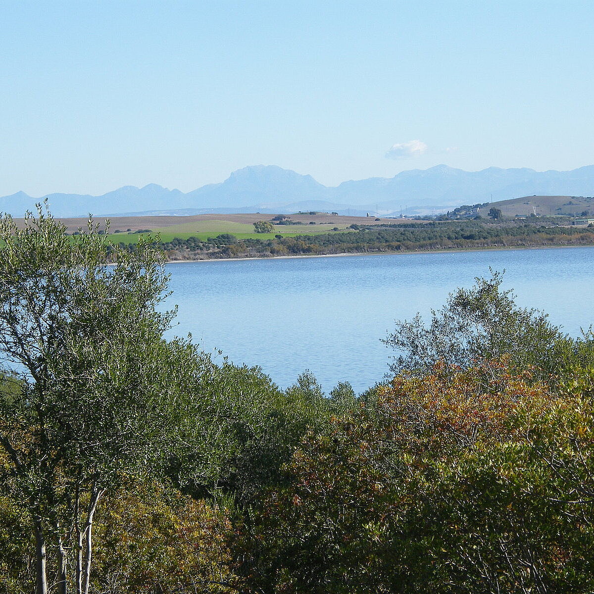 laguna medina