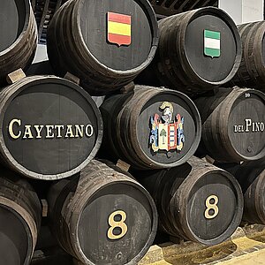 Cayetano del Pino